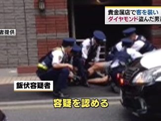Tokyo police apprehended a man in the theft of two diamonds from a shop in Ueno on Sunday