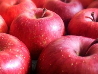 A gang boss has been accused of shoplifting apples and other items from a grocery store in Nagoya
