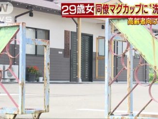 A female worker at an elderly nursing home in Shimonoseki City allegedly mixed pipe cleaner into the tea of a colleague