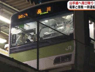 A man leaped to his death from a bridge over the Yamanote Line early Wednesday near JR Otsuka Station