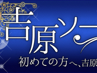There are roughly 100 soapland bathhouses in Tokyo's Yoshiwara
