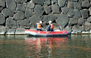 Looking for swimming foreigners