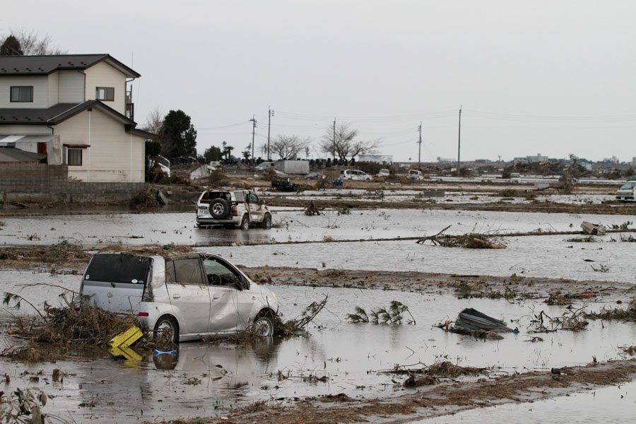 Cars moved by the tsunami sit in a field in Wakabayashi Ward