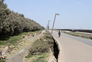 Effects of soil liquefaction in Urayasu, Chiba Prefecture following Great East Japan Earthquake
