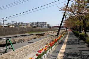 Effects of soil liquefaction in Urayasu, Chiba Prefecture following Great East Japan Earthquake