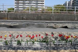 Effects of soil liquefaction in Urayasu, Chiba Prefecture following Great East Japan Earthquake