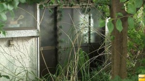 Investigators are searching a home in Shizuoka for evidence