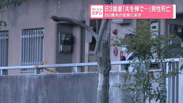 Nagoya woman, 83, following beating death of husband: 'He made a fool of me'