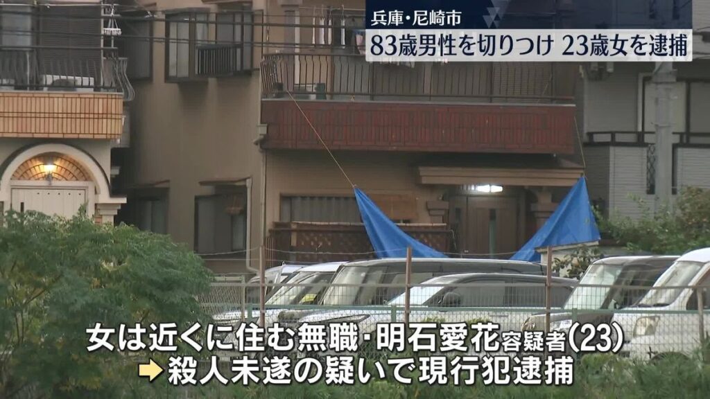 Hyogo woman suspected in slashing death of elderly man