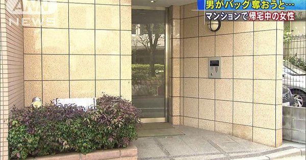 A man tried to steal a woman’s bag in front of her apartment in Asakusa