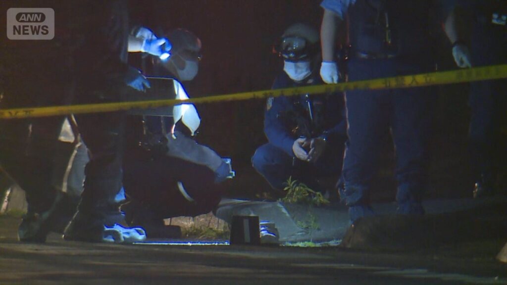 Indonesian man accused in fatal stabbing of woman in Chiba