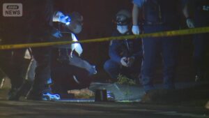 Indonesian man accused in fatal stabbing of woman in Chiba