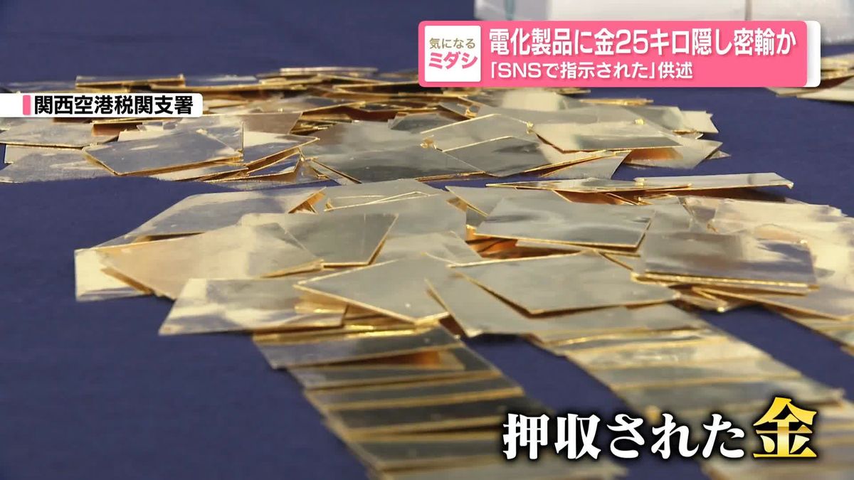 Chiba man indicted over smuggling ¥360 million in paper-thin gold hidden in electronics