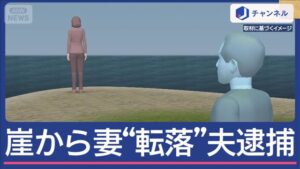 Chiba man arrested after wife takes fatal leap off cliff