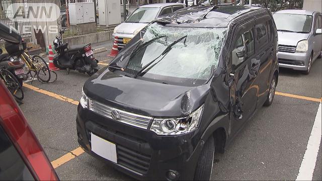 A woman crashed into another car carrying a man and his 4-year-old daughter (TV Asahi)