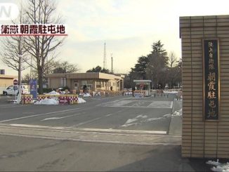 Koshigaya City last year