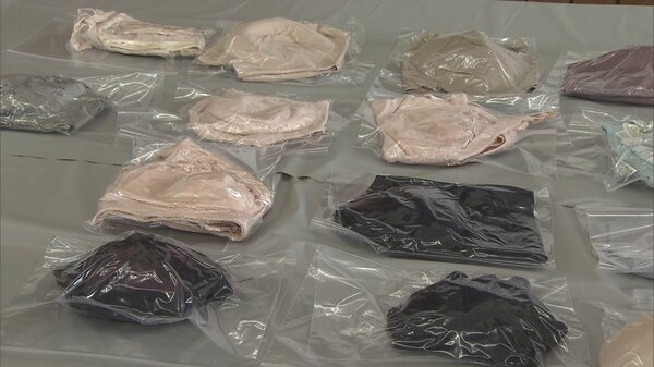 Gunma man arrested in police stakeout over stolen women's underwear