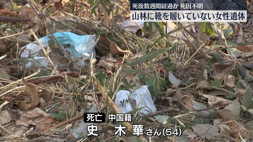 Ibaraki: Corpse of missing Chinese woman found in forest