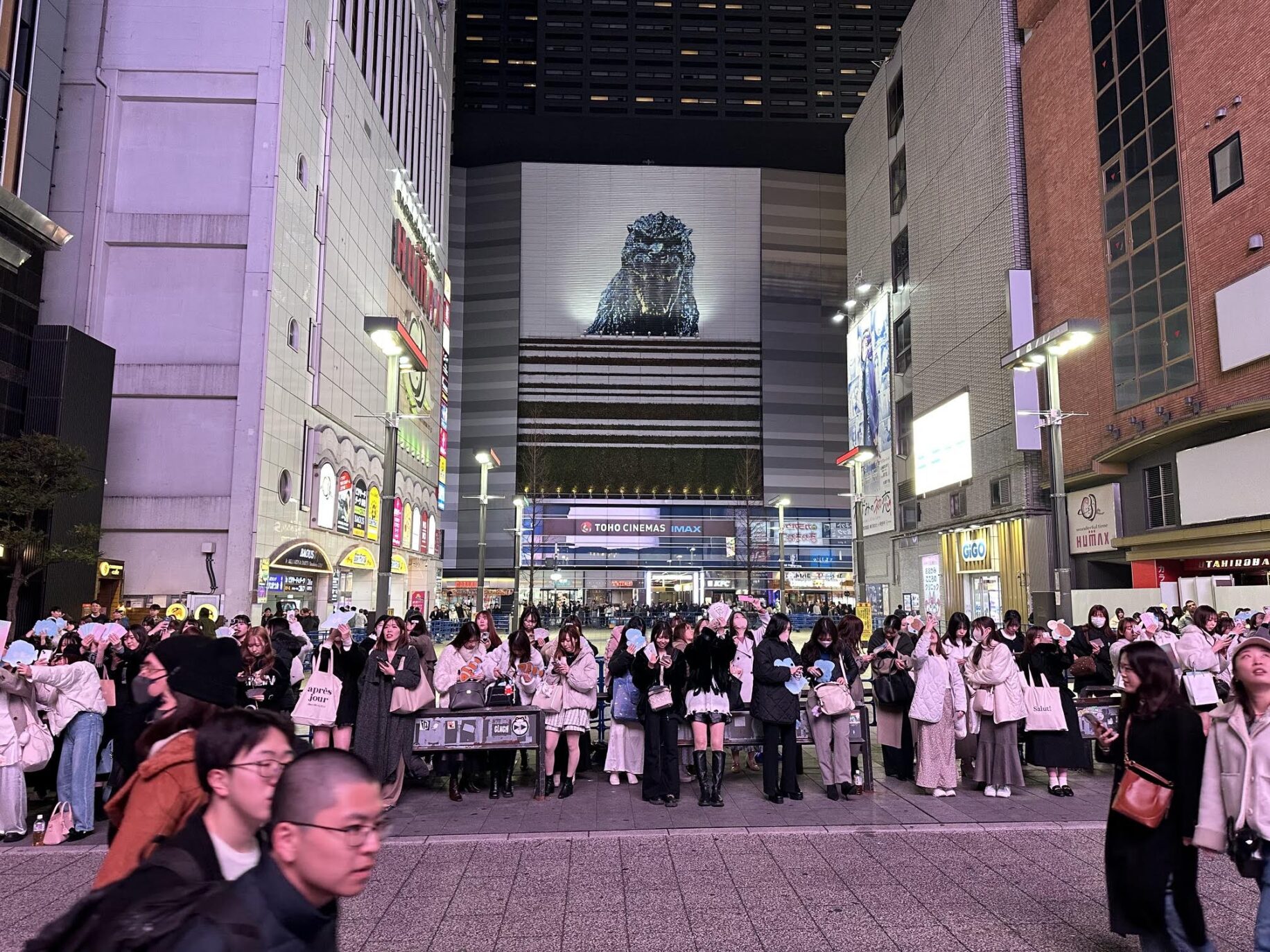Kabukicho at night