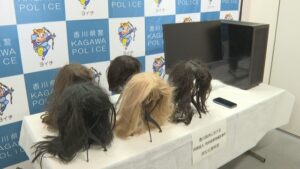 Kagawa man donned wigs in illicit filming bathing women