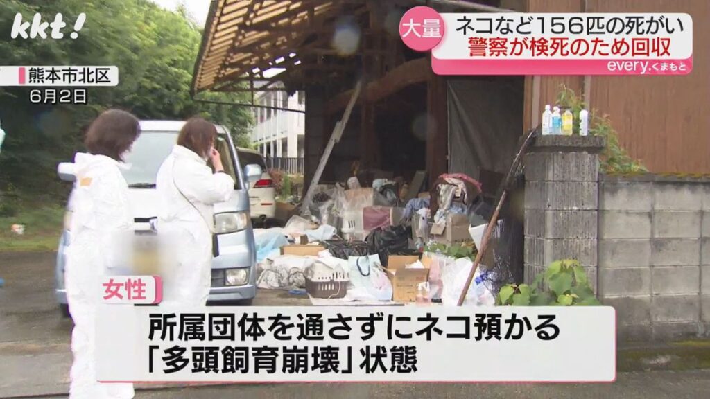 Kumamoto woman arrested after 130 cats found dead