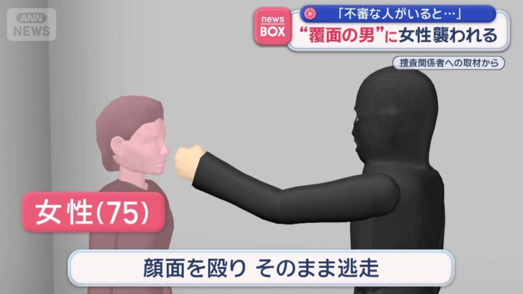Kumamoto police hunt masked man over daytime assault on 75-year-old woman