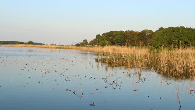 Police found the body of a woman floating in Lake Teganuma on Sunday