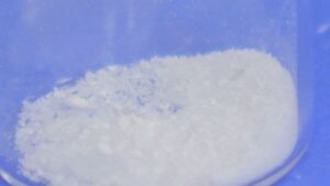 Shibuya music producer suspected of smuggling Ecstasy, MDMA