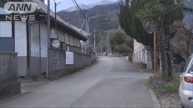 Minami-Alps City