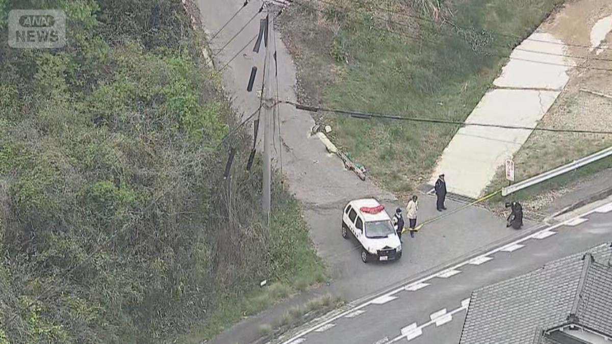 Scaffold worker arrested after getting lost while dumping woman’s corpse in Nara forest