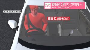 Niigata man caught with 16-centimeter knife in car claims he was 'just peeling an apple'
