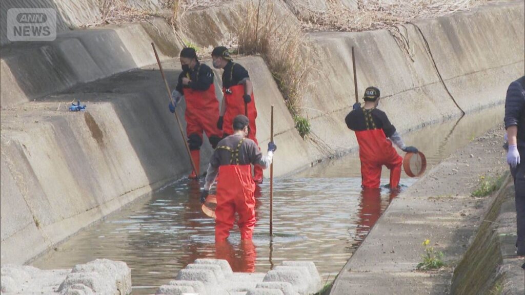 Corpse with gash to neck found in drainage canal in Oita