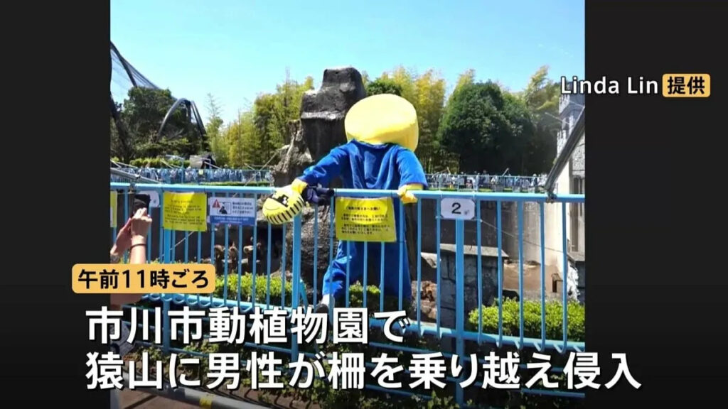 Man in crypto costume arrested for entering monkey’s enclosure at Ichikawa Zoo