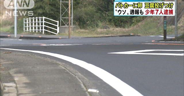 Seven teenagers were arrested for making a prank emergency call to lure out a patrol car before pelting it with tofu, eggs and potatoes (TV Asahi)