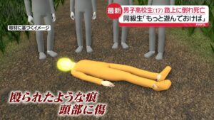 High school boy, 17, dies after fatal on Sagamihara farm road