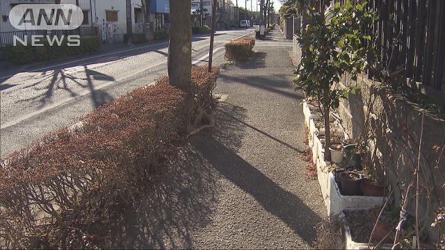 Two men shot a teenage girl multiple times with an air gun (TV Asahi)