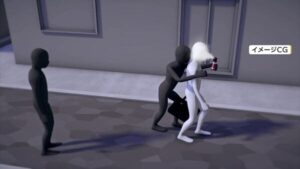Saitama duo accused of pepper-spraying, robbing pedestrian in late-night street attack