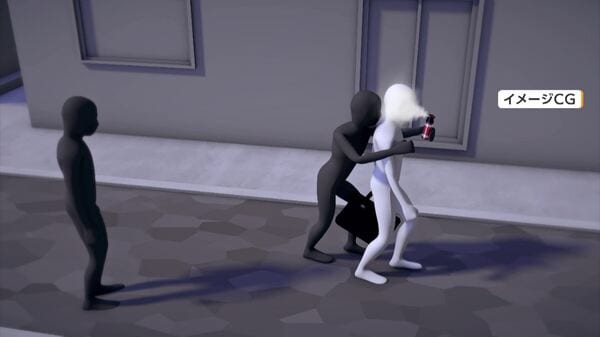Saitama duo accused of pepper-spraying, robbing pedestrian in late-night street attack