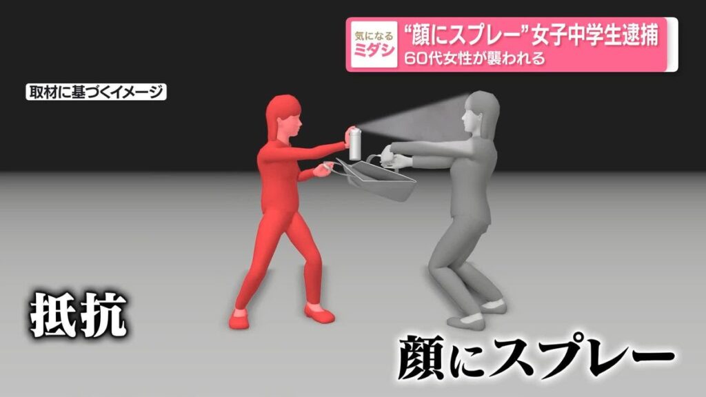 14-year-old girl arrested for spraying woman in face during Saitama street robbery