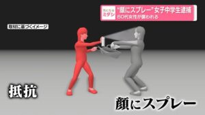 14-year-old girl arrested for spraying woman in face during Saitama street robbery