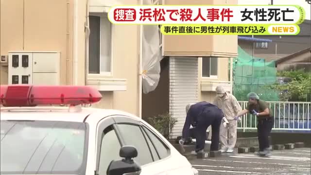 Shizuoka police probe link after Indonesian woman fatally stabbed, suspect killed by train