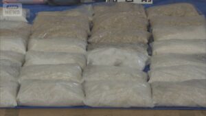 Iranian trio arrested over mass production of illegal drugs at Shizuoka yard