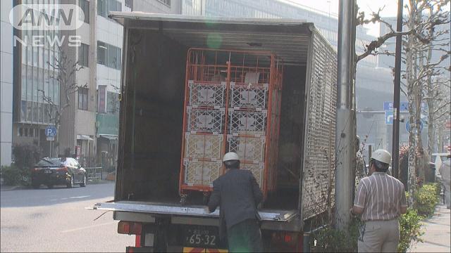 A delivery driver was crushed by a cart loaded with packages