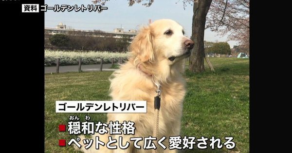 A 10-month-old baby died in Hachioji City after being bitten by a dog