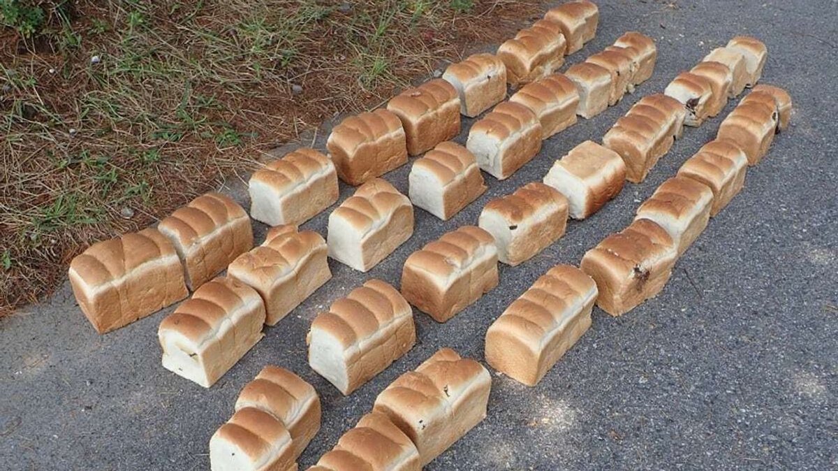Police probe bizarre dumping of 39 kilos of bread in Tottori national park