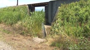 Toyama woman finds missing husband dead in shallow irrigation ditch