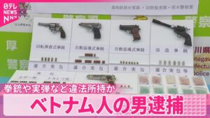 Vietnamese national nabbed for possessing 4 handguns, 80 rounds of ammo