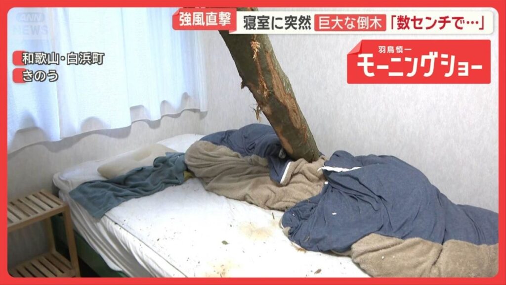 A tree limb pierced the roof of a home in Wakayama Prefecture on May 3