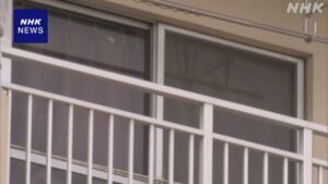 Saitama couple accused in fatal assault of woman