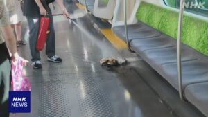 Yamanote Line delayed after smartphone battery catches fire